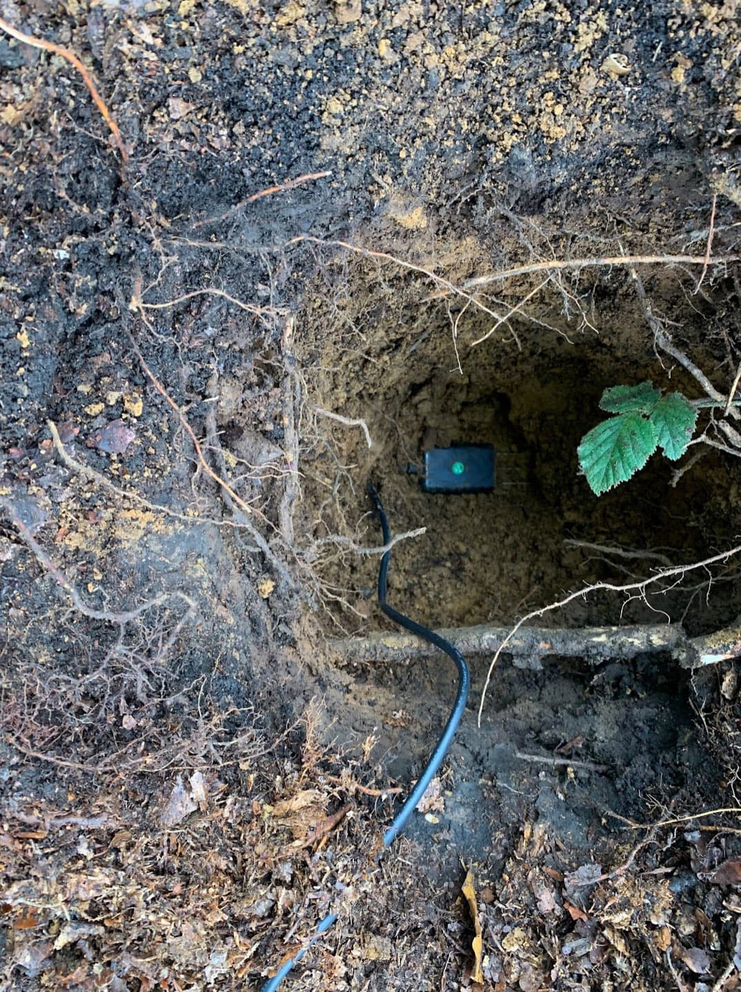 Ein Messsensor zur Messung von Bodenfeuchte im Wald ist liegend in einem 50cm tief, frisch gegrabenen Loch zu sehen.